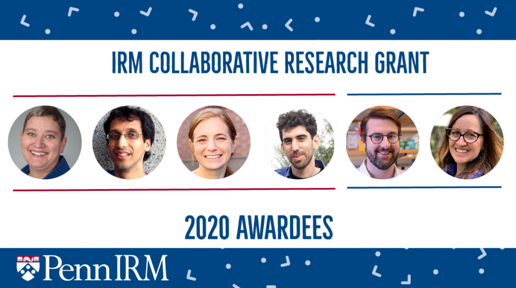 The IRM's 2020 CRG awardees will be using regenerative medicine techniques to research COVID-19